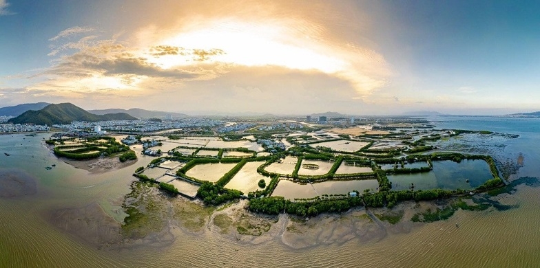 Đầm Thị Nại