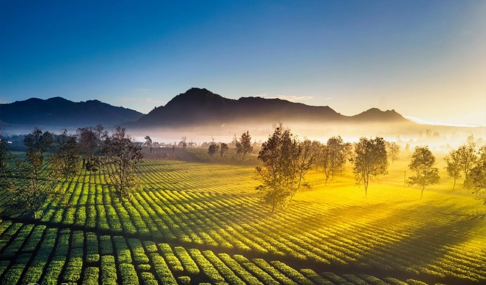 Biển Hồ Chè