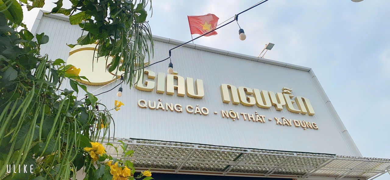 Công Ty TNHH Giàu Nguyễn